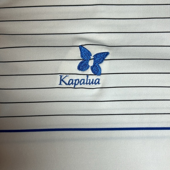 FootJoy (FJ) Kapalua Blue White Golf Polo | Size XL - Picture 2 of 7